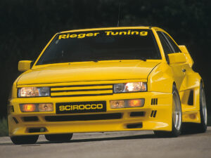Rieger forkofanger Breitbau II