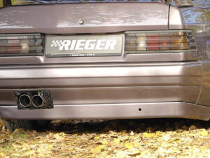 Rieger bagkofanger