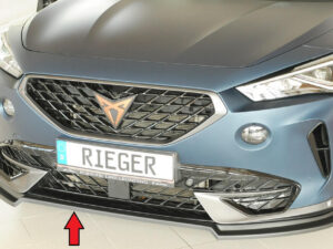 Rieger underlæbe