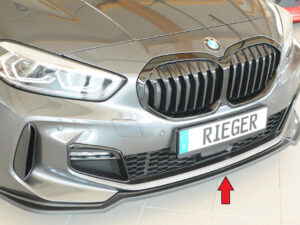 Rieger underlæbe