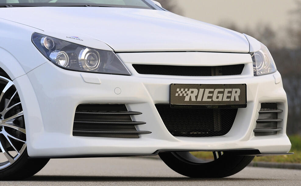 Rieger forkofanger