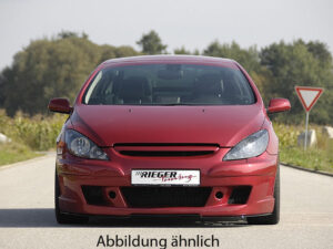 Rieger forkofanger