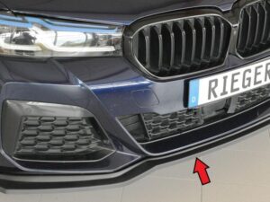 Rieger underlæbe