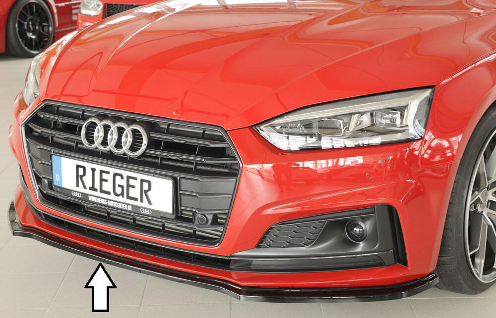 Rieger underlæbe