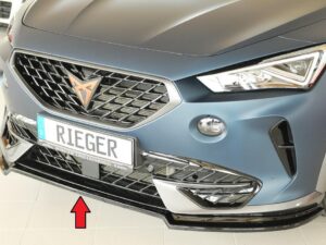 Rieger underlæbe