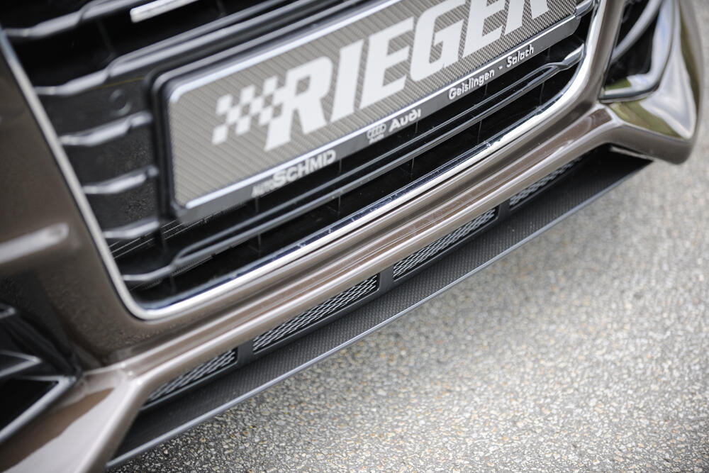 Rieger underlæbe - Billede 7